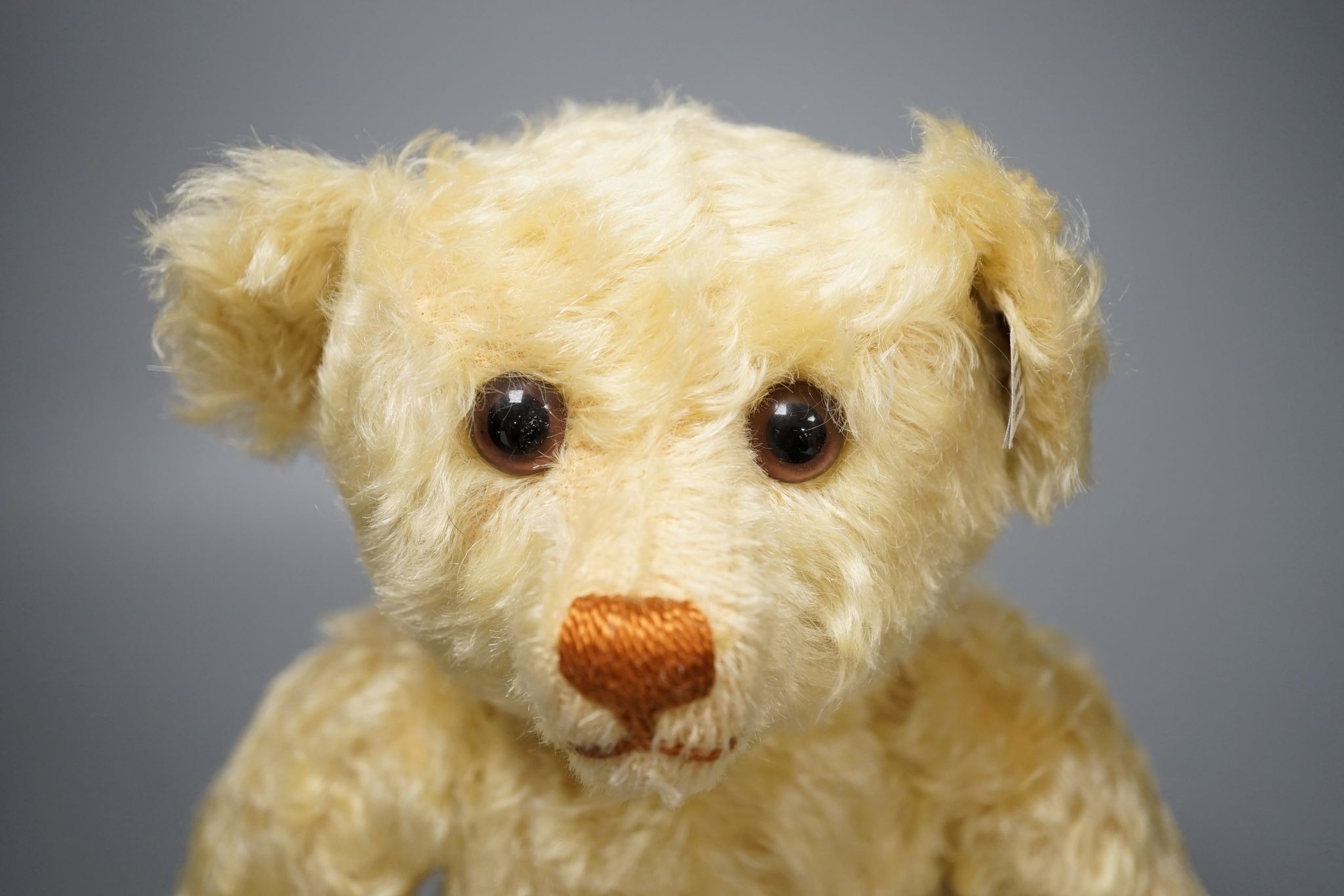 Steiff for British Collectors 2003 teddy bear, with box and certificate Limited Edition 36cm
